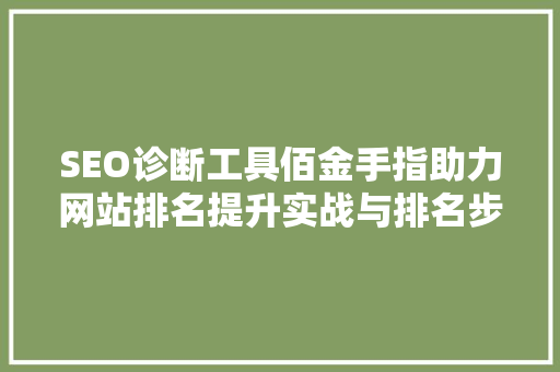 SEO诊断工具佰金手指助力网站排名提升实战与排名步骤  第1张