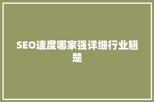 SEO速度哪家强详细行业翘楚