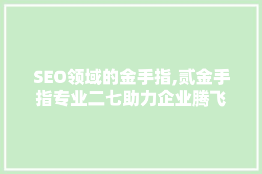 SEO领域的金手指,贰金手指专业二七助力企业腾飞