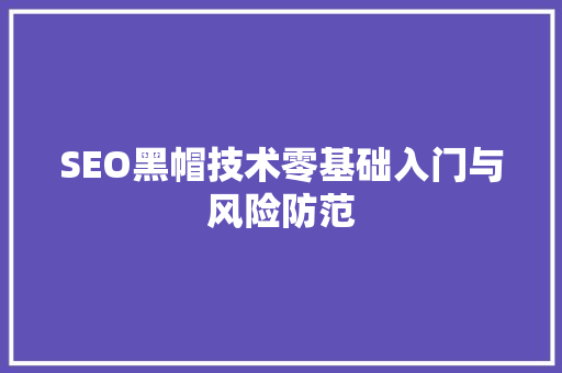 SEO黑帽技术零基础入门与风险防范