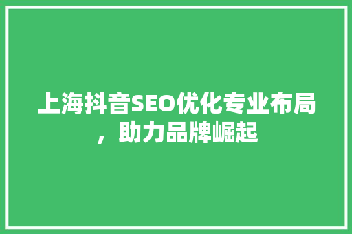 上海抖音SEO优化专业布局，助力品牌崛起