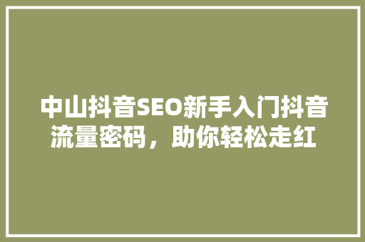 中山抖音SEO新手入门抖音流量密码，助你轻松走红
