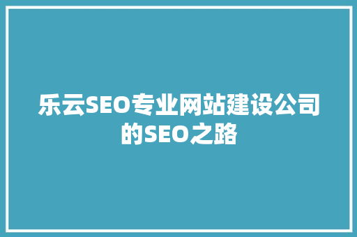 乐云SEO专业网站建设公司的SEO之路