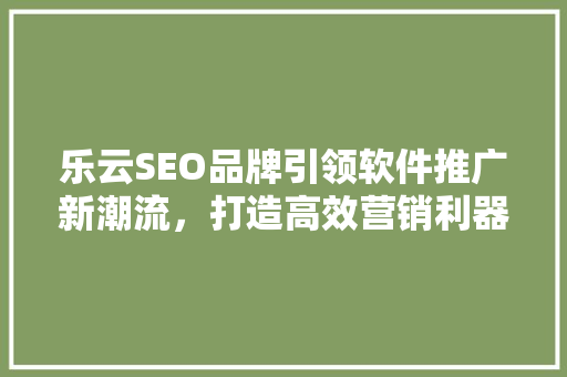 乐云SEO品牌引领软件推广新潮流，打造高效营销利器