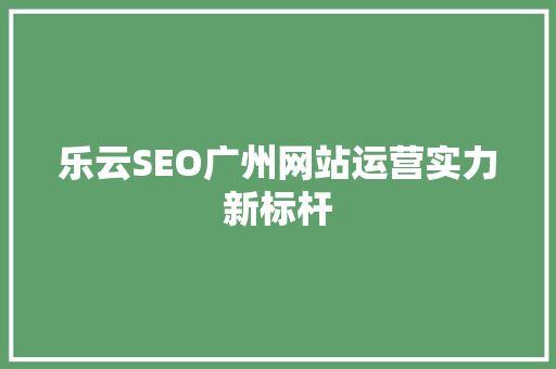 乐云SEO广州网站运营实力新标杆
