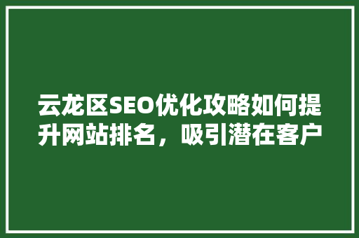 云龙区SEO优化攻略如何提升网站排名，吸引潜在客户