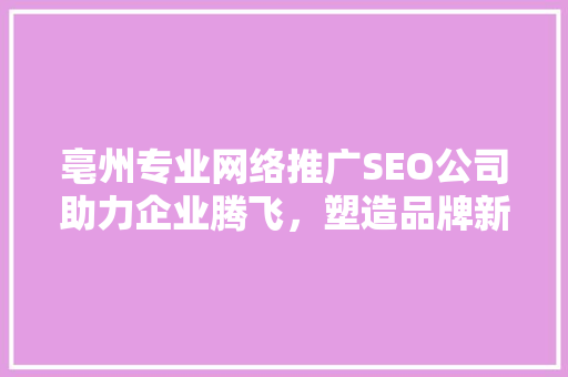 亳州专业网络推广SEO公司助力企业腾飞，塑造品牌新高度