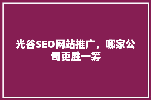 光谷SEO网站推广，哪家公司更胜一筹