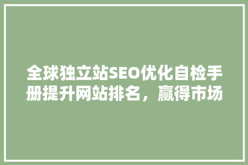 全球独立站SEO优化自检手册提升网站排名，赢得市场先机