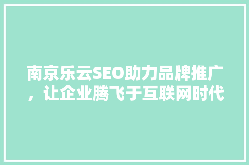 南京乐云SEO助力品牌推广，让企业腾飞于互联网时代