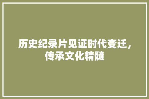 历史纪录片见证时代变迁，传承文化精髓  第1张
