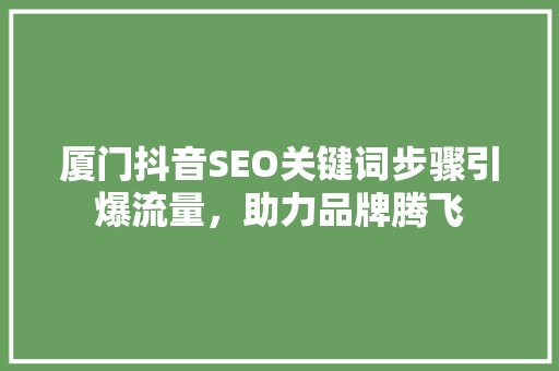 厦门抖音SEO关键词步骤引爆流量，助力品牌腾飞