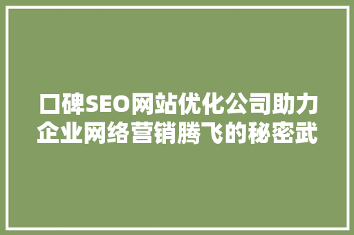口碑SEO网站优化公司助力企业网络营销腾飞的秘密武器