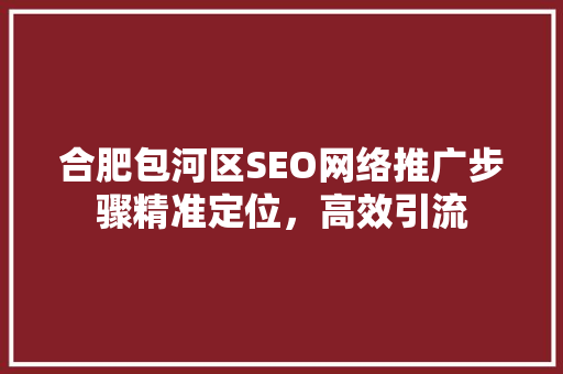 合肥包河区SEO网络推广步骤精准定位，高效引流