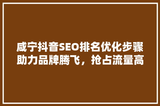咸宁抖音SEO排名优化步骤助力品牌腾飞，抢占流量高地