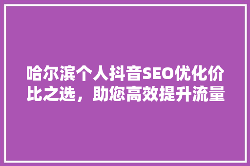 哈尔滨个人抖音SEO优化价比之选，助您高效提升流量