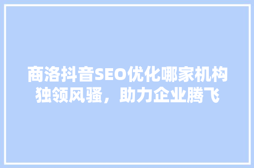 商洛抖音SEO优化哪家机构独领风骚，助力企业腾飞