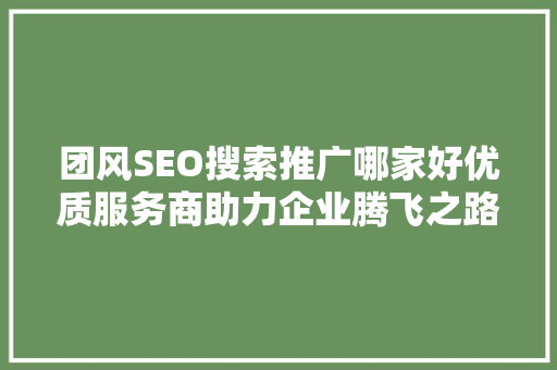 团风SEO搜索推广哪家好优质服务商助力企业腾飞之路