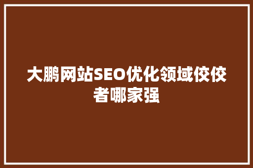 大鹏网站SEO优化领域佼佼者哪家强