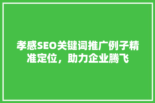 孝感SEO关键词推广例子精准定位，助力企业腾飞