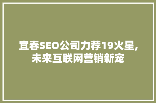 宜春SEO公司力荐19火星,未来互联网营销新宠
