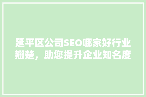 延平区公司SEO哪家好行业翘楚，助您提升企业知名度