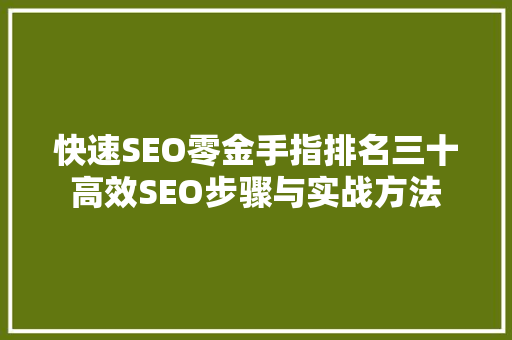 快速SEO零金手指排名三十高效SEO步骤与实战方法