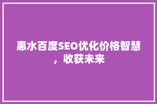 惠水百度SEO优化价格智慧，收获未来