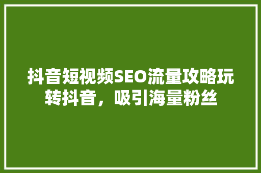 抖音短视频SEO流量攻略玩转抖音，吸引海量粉丝