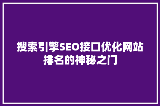 搜索引擎SEO接口优化网站排名的神秘之门