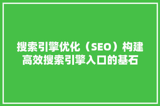 搜索引擎优化（SEO）构建高效搜索引擎入口的基石
