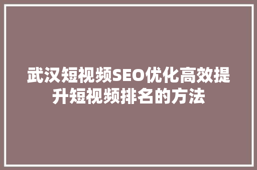 武汉短视频SEO优化高效提升短视频排名的方法