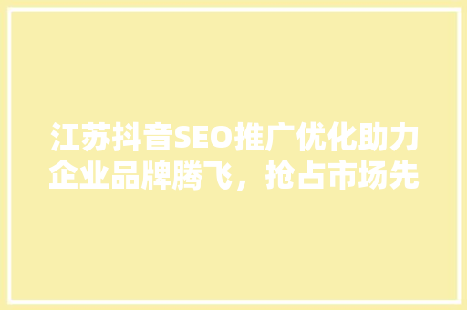 江苏抖音SEO推广优化助力企业品牌腾飞，抢占市场先机