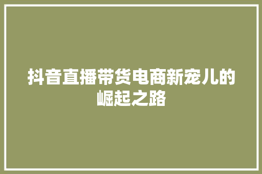 抖音直播带货电商新宠儿的崛起之路