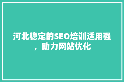 河北稳定的SEO培训适用强，助力网站优化