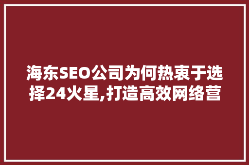 海东SEO公司为何热衷于选择24火星,打造高效网络营销的奥秘