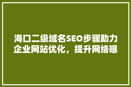 海口二级域名SEO步骤助力企业网站优化，提升网络曝光度