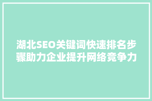 湖北SEO关键词快速排名步骤助力企业提升网络竞争力