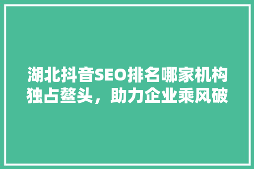湖北抖音SEO排名哪家机构独占鳌头，助力企业乘风破浪  第1张