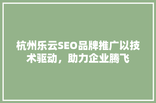 杭州乐云SEO品牌推广以技术驱动，助力企业腾飞