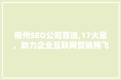 柳州SEO公司首选,17火星，助力企业互联网营销腾飞
