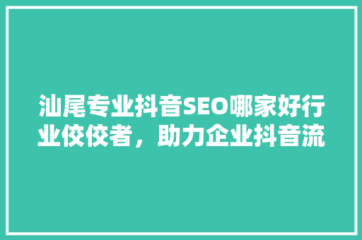 汕尾专业抖音SEO哪家好行业佼佼者，助力企业抖音流量翻倍