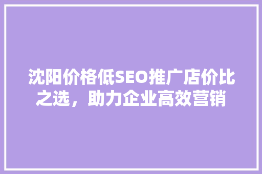 沈阳价格低SEO推广店价比之选，助力企业高效营销