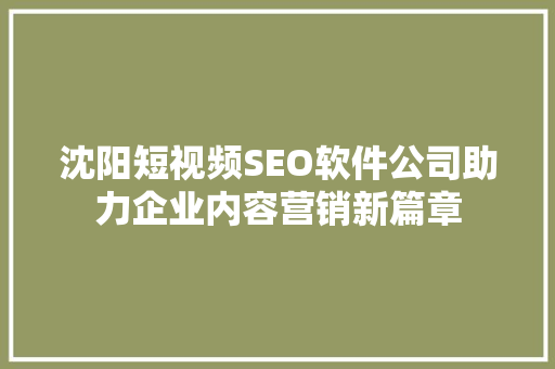 沈阳短视频SEO软件公司助力企业内容营销新篇章