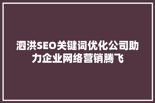 泗洪SEO关键词优化公司助力企业网络营销腾飞