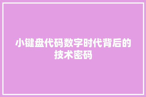 小键盘代码数字时代背后的技术密码