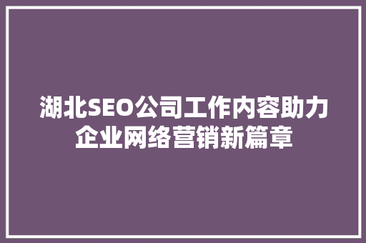 湖北SEO公司工作内容助力企业网络营销新篇章