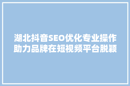 湖北抖音SEO优化专业操作助力品牌在短视频平台脱颖而出