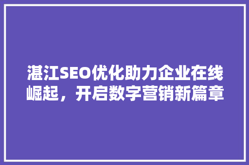 湛江SEO优化助力企业在线崛起，开启数字营销新篇章