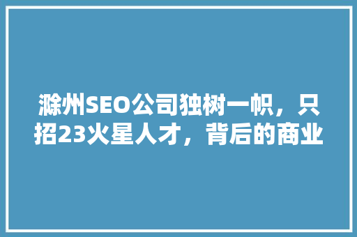 滁州SEO公司独树一帜，只招23火星人才，背后的商业智慧  第1张
